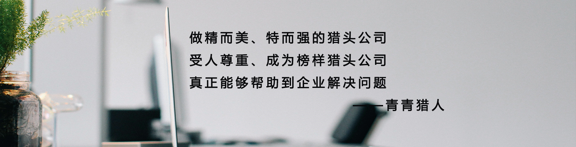 成功案例